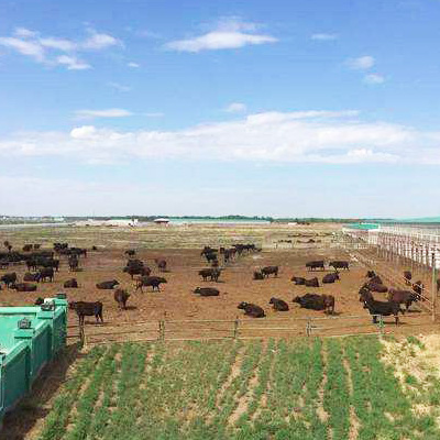 養殖廢水處理解決方案